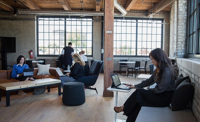 Several people working on laptops in an open office environment